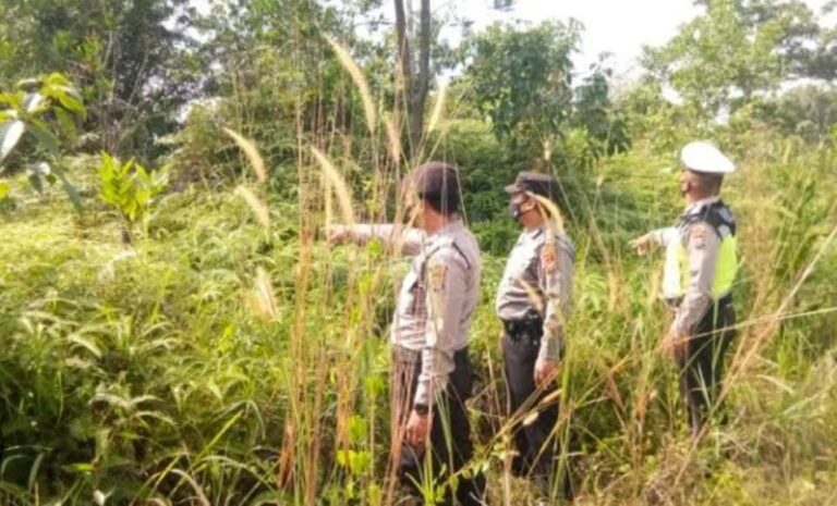 img-20230531-wa00203735937116526489495