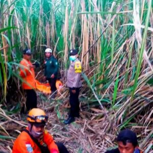 img-20230523-wa00165548019859843245802