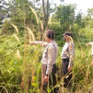 img-20230531-wa00203735937116526489495