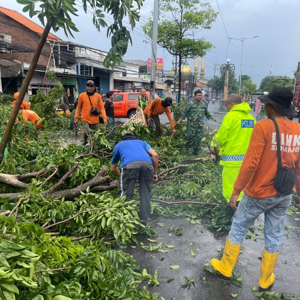 img-20251129-wa01412770562746003635348