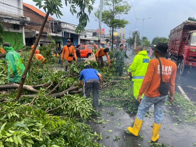 img-20251129-wa01412770562746003635348